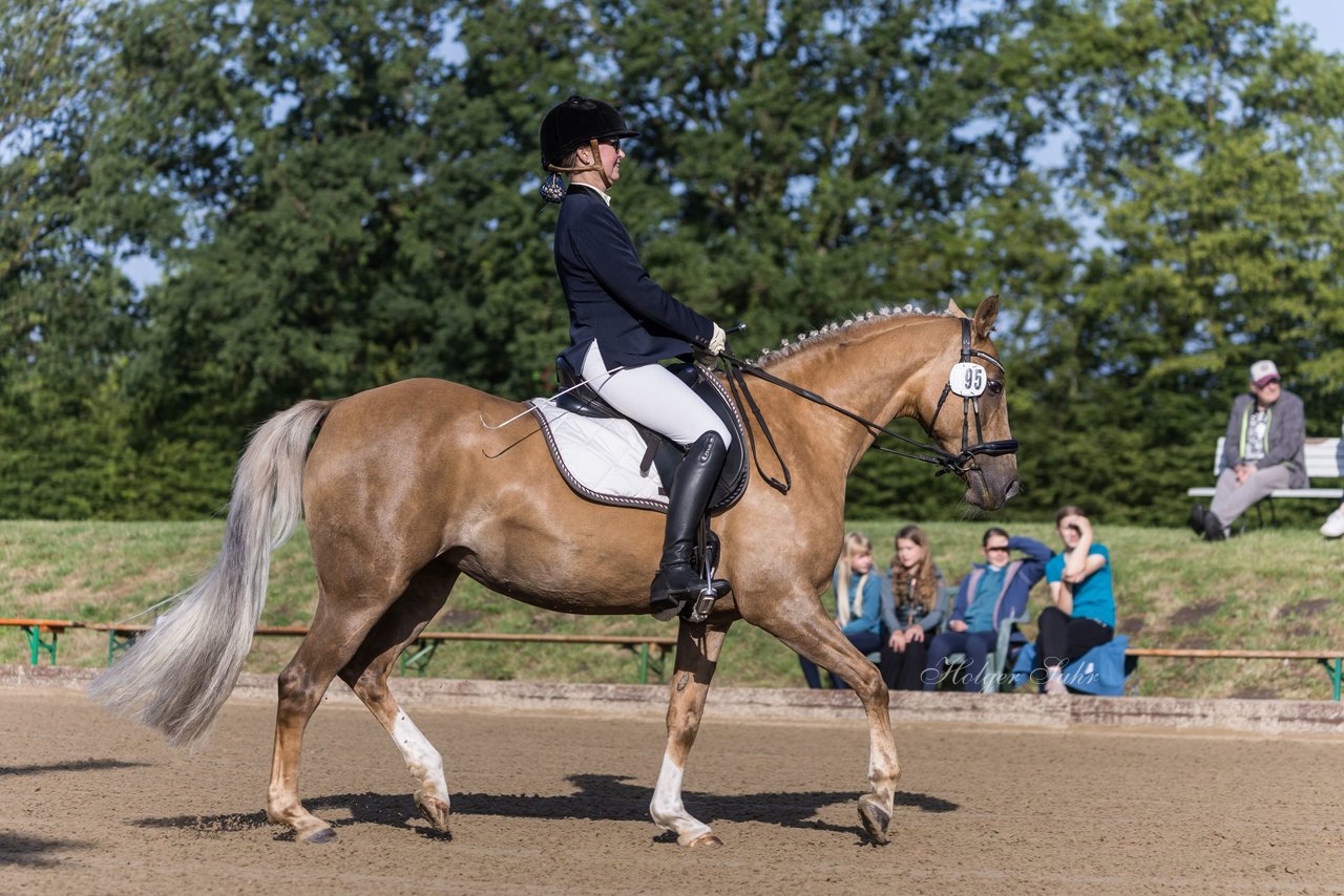 Bild 27 - Pony Akademie Turnier